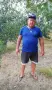 Сини сливи "Стенлей", снимка 6