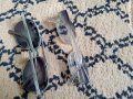 Два чифта диоптрични очила за късогледство (миопия), снимка 1