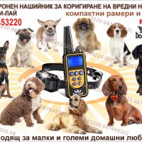 Електронен нашийник за куче, снимка 4 - За кучета - 40962769