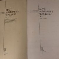 Атлас анатомии человека - Том 3 -Р. Д. Синельников, снимка 2 - Специализирана литература - 34695067