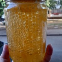 Пчелен мед от производител 2023г, снимка 2 - Пчелни продукти - 41874577