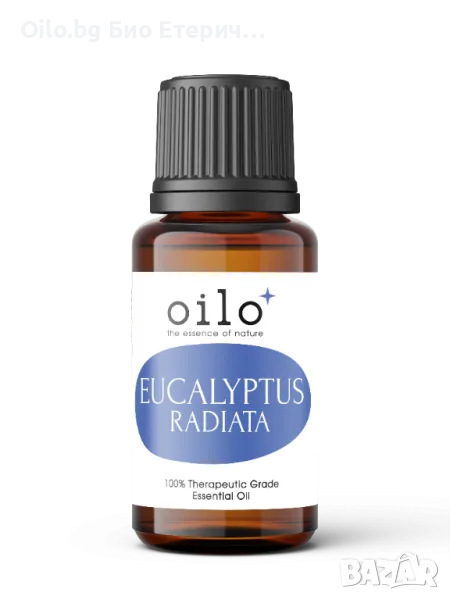 Oilo БИО Етерично Масло от Евкалипт радиата - Eucalyptus Radiata Oilo 5 мл., снимка 1