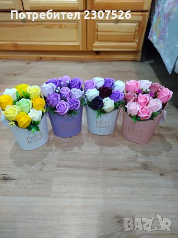 Цветя, снимка 5 - Стайни растения - 41412258