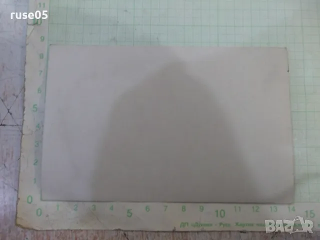 Снимка стара на група в градината, снимка 2 - Колекции - 48001944