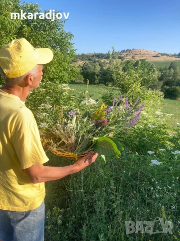 билки чай сок от бъз шипки подправки, снимка 5 - Домашни продукти - 46575710