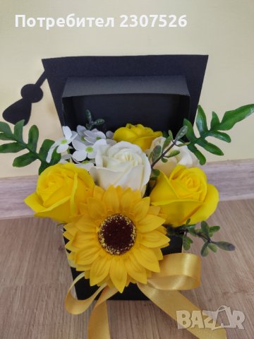 Цветя, снимка 10 - Стайни растения - 41404016