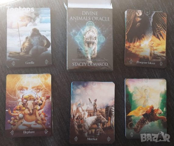 Оракул карти с животни: Divine Animals Oracle & Spirit Animal Wisdom & Whispers of the Ocean, снимка 9 - Карти за игра - 42292933