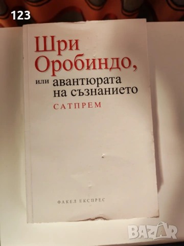 Шри Оробиндо или авантюрата на съзнанието