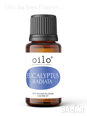 Oilo БИО Етерично Масло от Евкалипт радиата - Eucalyptus Radiata Oilo 5 мл.