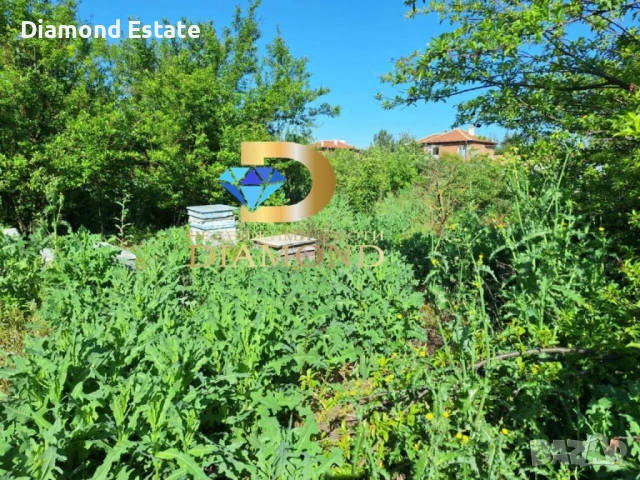 Едноетажна къща в село Иваново, общ. Харманли, снимка 6 - Къщи - 50694417