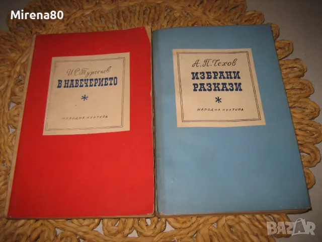 Руска класика - 8 книги за 10 лв , снимка 5 - Художествена литература - 48090188
