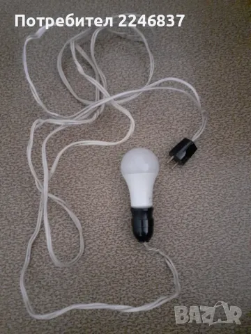 Крушка, снимка 9 - Крушки - 49099267