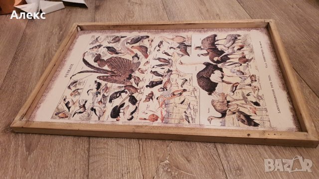 Фауна– Голяма картина, дървена рамка, 60см/ 40см, снимка 2 - Картини - 38739317