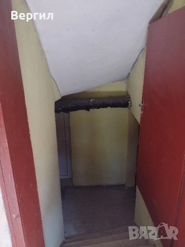 Стая под наем, снимка 2 - Стаи под наем - 52246972