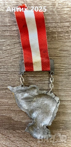 Възпоменателен знак (медал) – 9-ти международен народен поход, Мундерфинг, 1981 г., снимка 3 - Колекции - 53674594