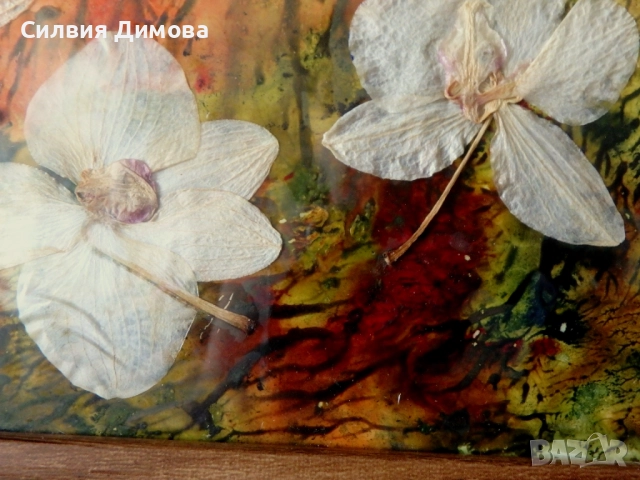 Орхидеи за подарък, снимка 8 - Ръчно изработени сувенири - 51484605