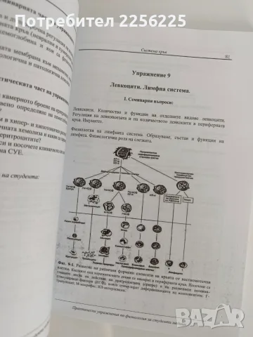 Практически упражнения по физиология , снимка 5 - Специализирана литература - 56257995