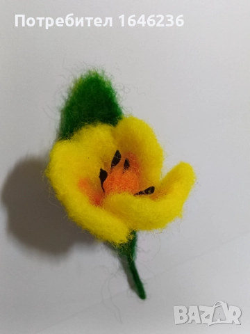 Брошки, снимка 10 - Други - 52247319