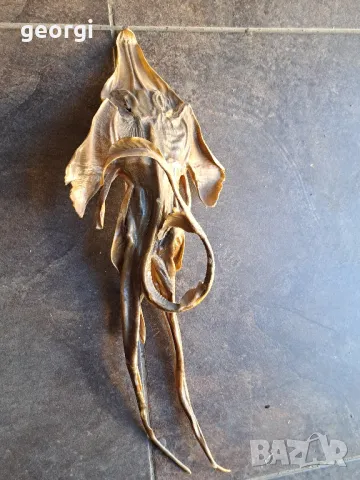 препарирана екзотична риба  7/4, снимка 3 - Декорация за дома - 49854710