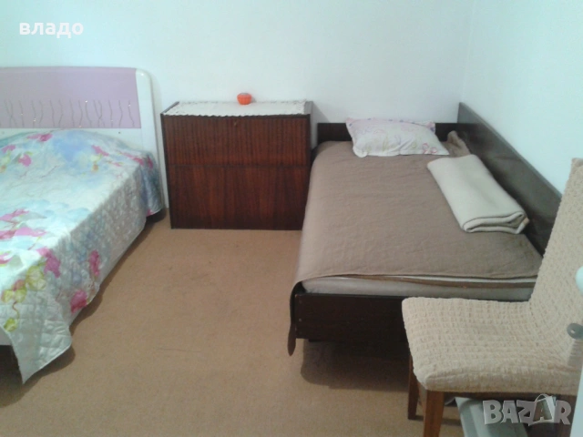 Стая в Обзор, снимка 2 - Стаи под наем - 53843510