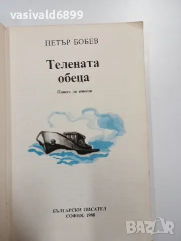 Петър Бобев - Телената обеца , снимка 4 - Българска литература - 48648722