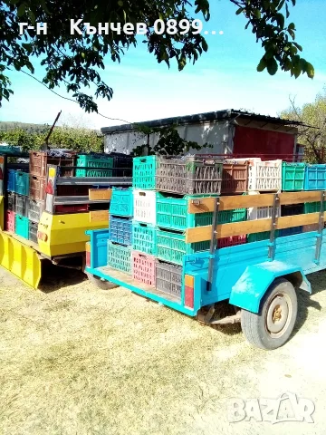 продавам грозде мерло и Каберне , снимка 5 - Домашни продукти - 56088041