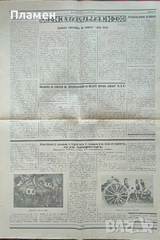 Българска култура. Год. 1: Бр. 3, 4, 6, 7, 8, 9 / 1931, снимка 6 - Антикварни и старинни предмети - 52614173
