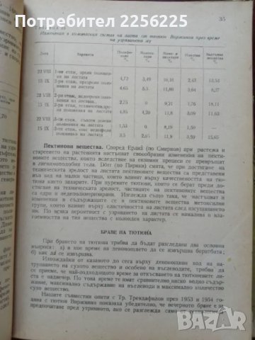 Сушене и ферментация на тютюна , снимка 2 - Специализирана литература - 50389615