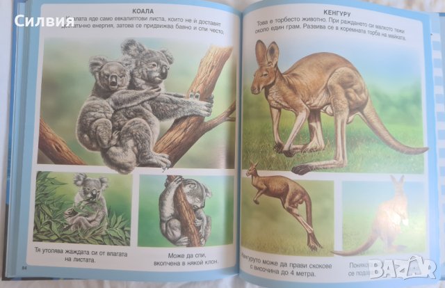 Детска енциклопедия за животни, снимка 4 - Енциклопедии, справочници - 41565352