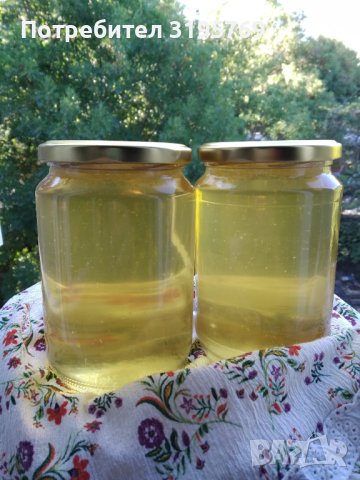 Натурален пчелен мед от акация, снимка 2 - Пчелни продукти - 41793799
