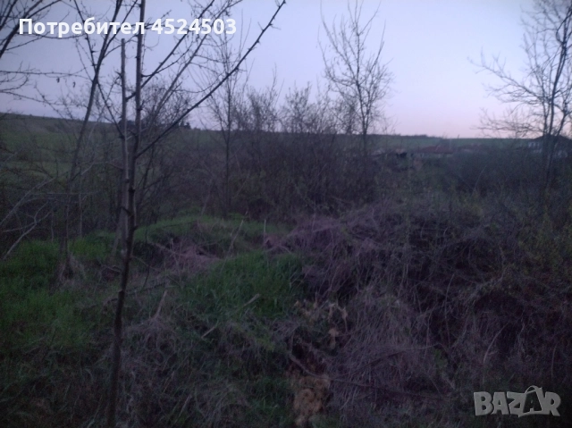 Дворно място село Цани Гинчево, снимка 6 - Парцели - 52354249