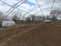 Продавам оранжерия., снимка 4