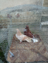 Николаевски гълъби 5 двойки , снимка 4