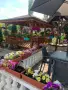 Упи с къща и гаражи, снимка 14