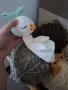 Бебешки гушкалца , снимка 5