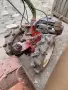 Стара Соц Четиритактова Бензинова Мотофреза, Мотоблок, Мотокултиватор + Инвентар. / НОМЕР 1324., снимка 6