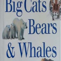 Encyclopaedia of Big Cats, Bears, Whales and Elephants, снимка 1 - Други - 42412944