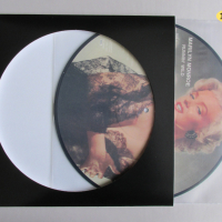 LP Немски ДИСПЛЕЙ за Picture Disc 12" Голяма Рисувана грамофонна плоча тип Картина, снимка 7 - Samsung - 36305951