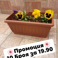 Промоция 10 броя сандъче 30 см Керемида с подложка за 19.90! САНДЪЧЕ ЗА ЦВЕТЯ, снимка 2 - Саксии и кашпи - 35669037