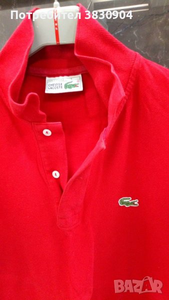 Поло шърт Lacoste, L, 100% памук, снимка 1
