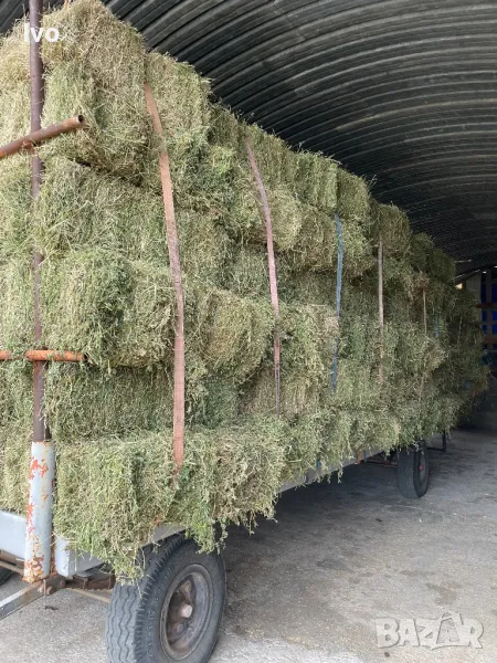 Люцерна малки бали, снимка 1