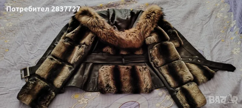 естествено якенце чинчила, снимка 1