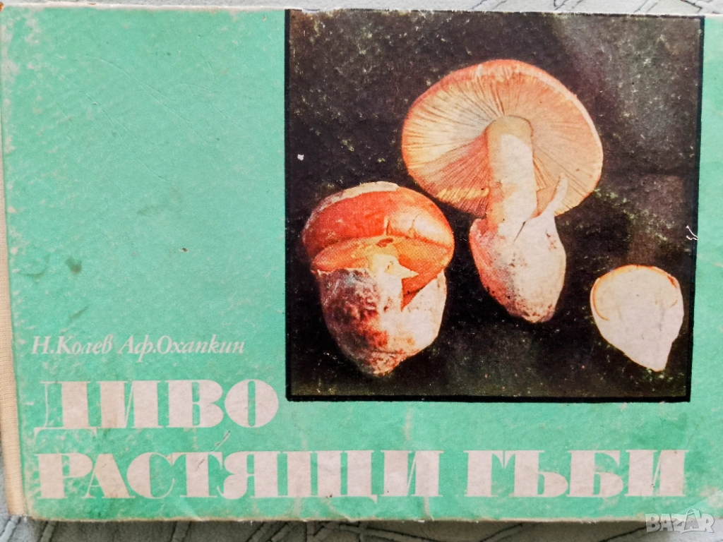 Книга,,Диворастящи гъби,,твърди корици., снимка 1