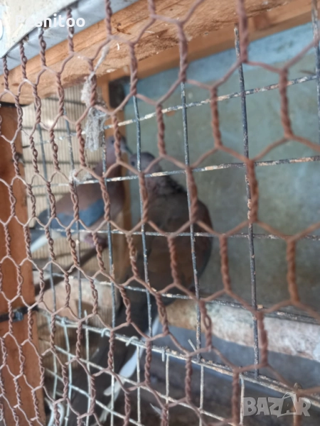 Продавам, снимка 1