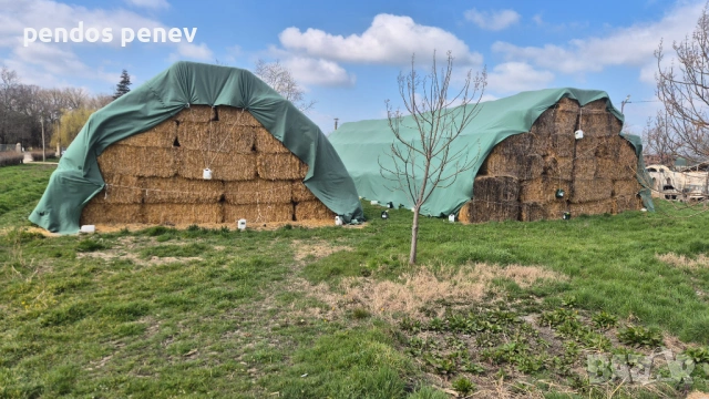 Бали слама 2025г 