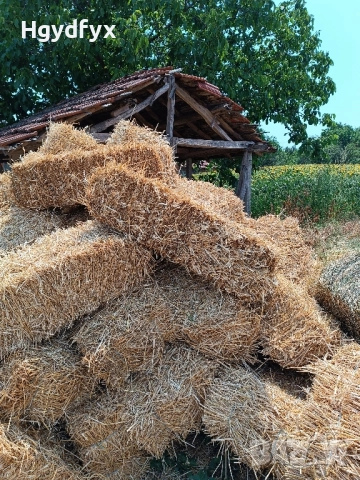 Балли слама , снимка 2 - За селскостопански - 50934988