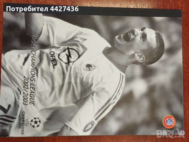 Шампионска лига 2002-03