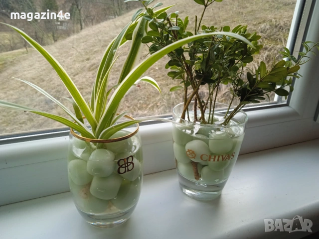 Чаша с  300 грама полускъпоценни камъни и цвете,Кристали и Минерали,, снимка 2 - Декорация за дома - 53478068