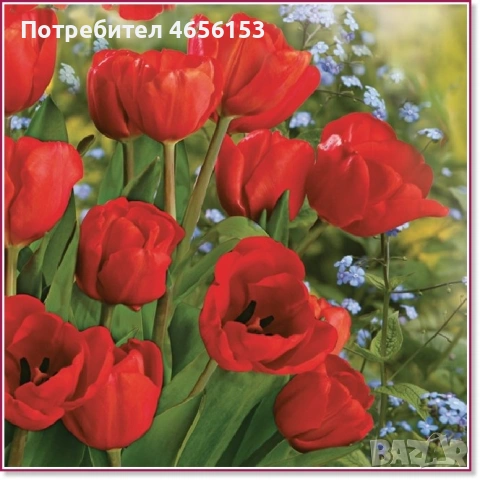 ЛУКОВИЦИ - ЛАЛЕТА и ЕСЕНЕН ЖЪЛТ МИНЗУХАР , снимка 2 - Сортови семена и луковици - 53841580