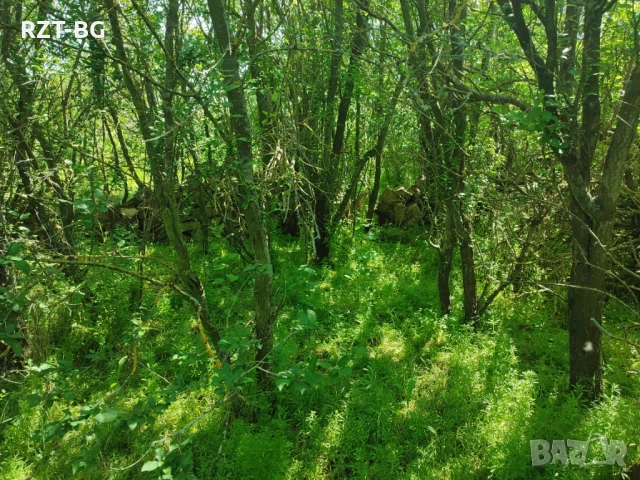 Почистване, косене, подкастряне, подръжка на терени